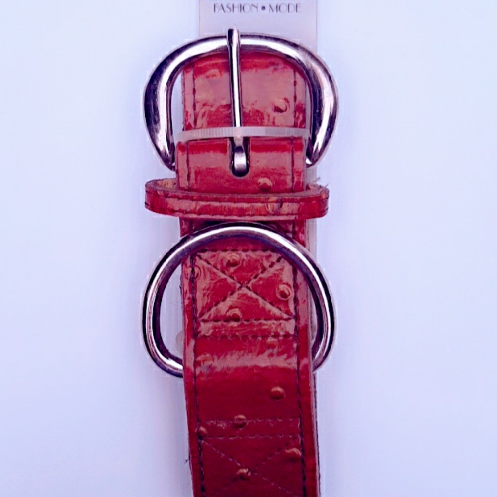Petmate leather Collar Dog